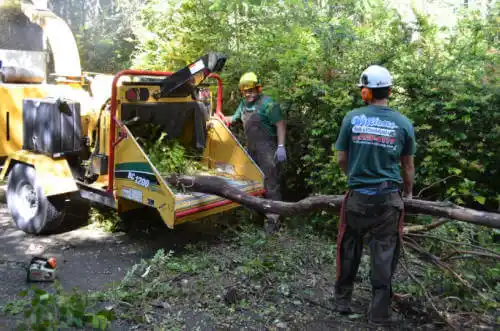 tree services Conway Springs